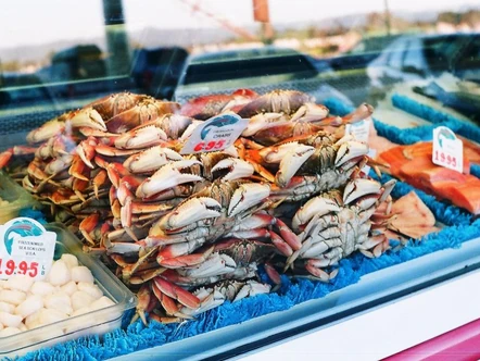 Seafood: a susceptible group of products for species substitution